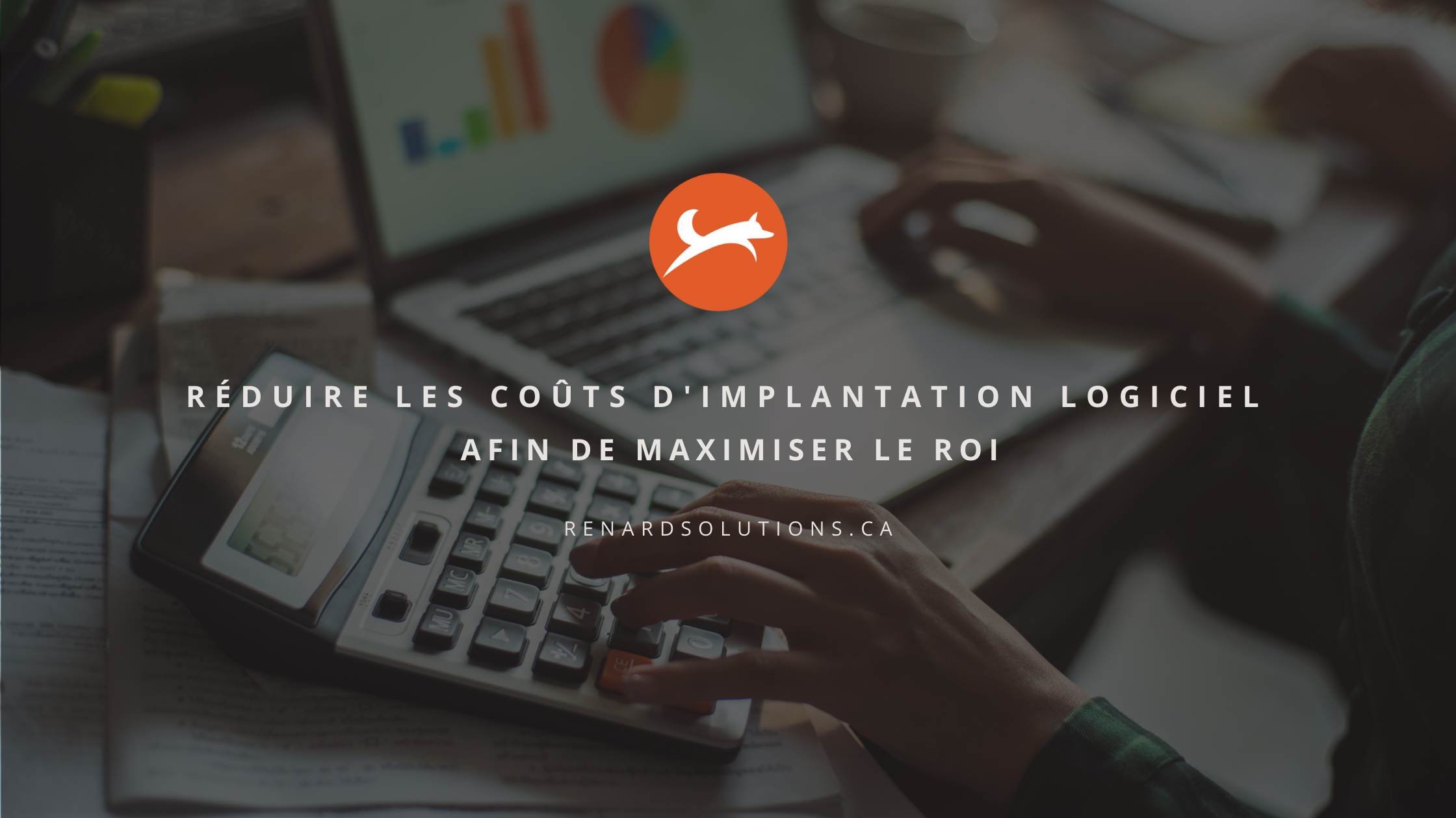 Réduire les coûts d'implantation logiciel afin de maximiser le ROI